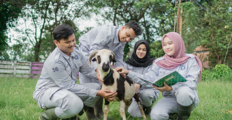 Teknologi dan Manajemen Ternak