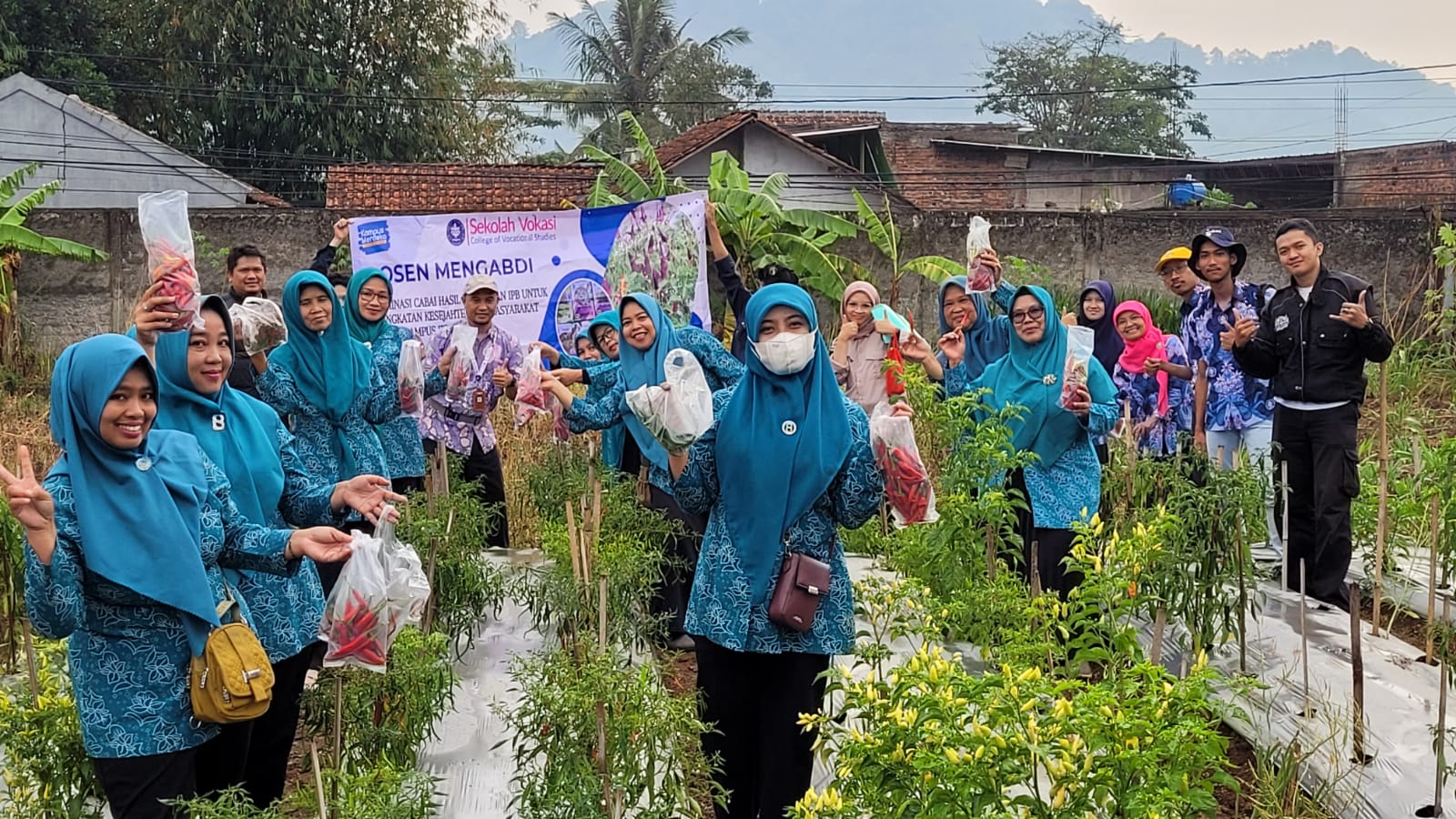 Kegiatan Dosen Mengabdi: Diseminasi Cabai Hasil Pemuliaan IPB di Desa Sidangpalay Sukabumi