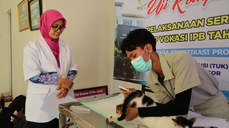 45 Mahasiswa Program Studi Paramedik Veteriner Ikuti Uji Kompetensi di LSP Sekolah Vokasi IPB University