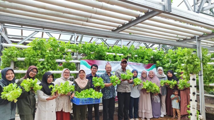 Prodi Teknologi Industri Benih Sekolah Vokasi IPB University Panen Sayuran Selada Bersama KWT Ciharashas Mulayaharja