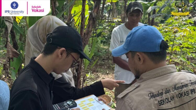 Program Studi Teknologi dan Manajemen TernakSV-IPB Kembangkan Budidaya Pakan Ternak Ramah Lingkungan di Mulyaharja Lewat Inovasi Hijauan Berbasis Hayati