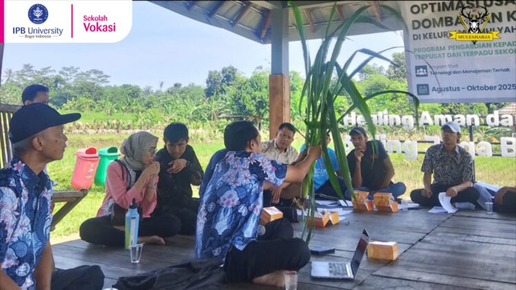 Program Studi Teknologi dan Manajemen Ternak Sekolah Vokasi IPB University Dorong Peternak Mulyaharja Kuasai Budidaya Hijauan Pakan Ternak