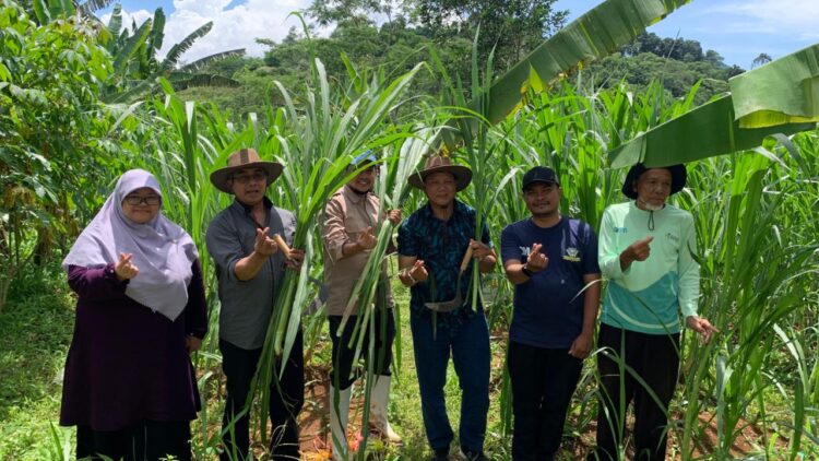 Sekolah Vokasi IPB University Perkuat Kapasitas Peternak Mulyaharja melalui Pelatihan Pemasaran dan Monitoring Hijauan