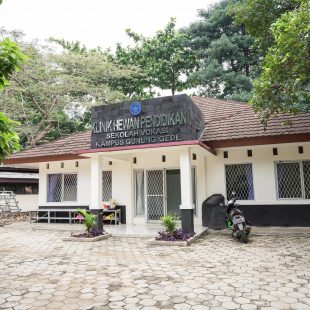 Klinik Hewan