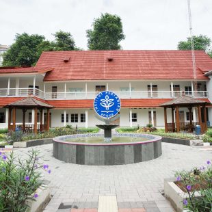 Taman